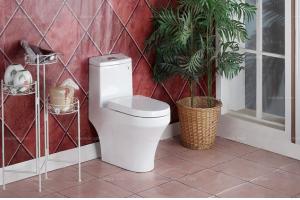 	虹吸式坐厕 连体双档座便器 节水马桶